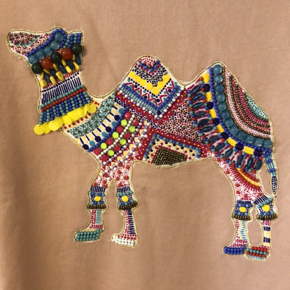 539-J.‎ Crew Camel Embroidered Sweatshirt in Tan - Picture 4 of 13